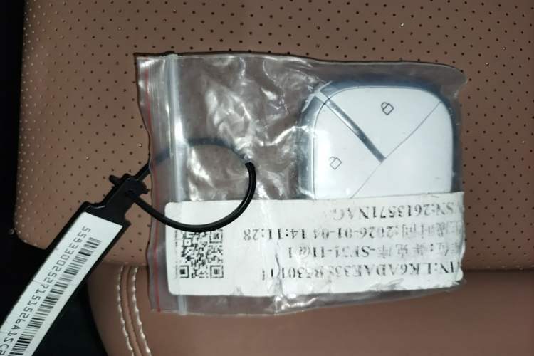 Used Wuling Bingo S 2025 Model 325km Deluxe Edition Vehicle Key