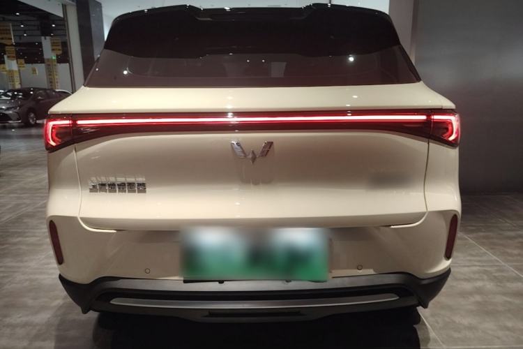 Used Wuling Bingo S 2025 Model 325km Deluxe Edition Rear