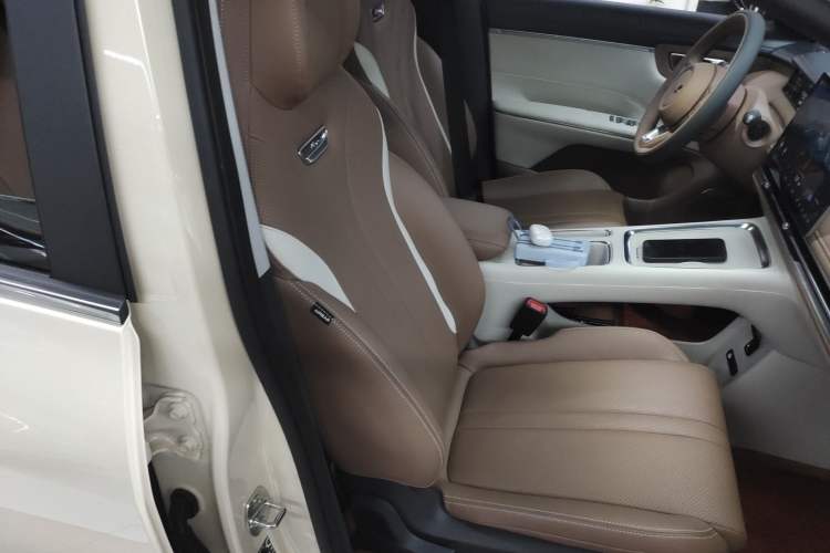 Used Wuling Bingo S 2025 Model 430km Flagship Edition Right Front Seat