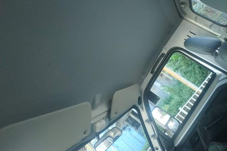 Used Wuling Dragon Truck 2023 2.0L Comfort Version Headliner