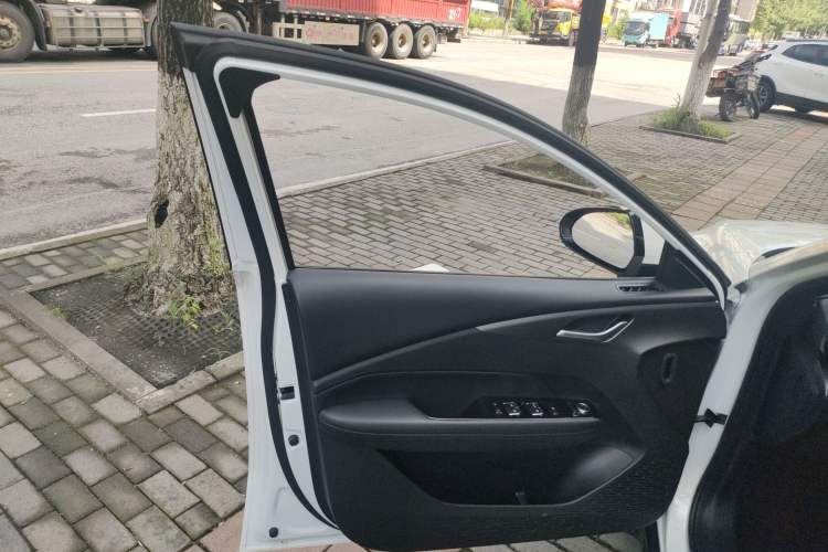 Used Wuling E5 2024 510 km Standard Version Left Front Door Interior