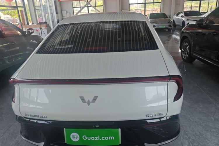 Used Wuling E5 2024 510 km Standard Version Rear
