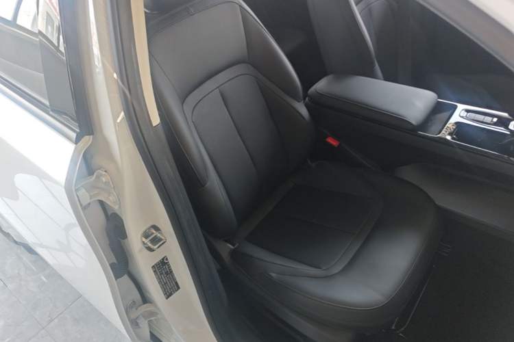 Used Wuling E5 2024 510 km Standard Version Right Front Seat