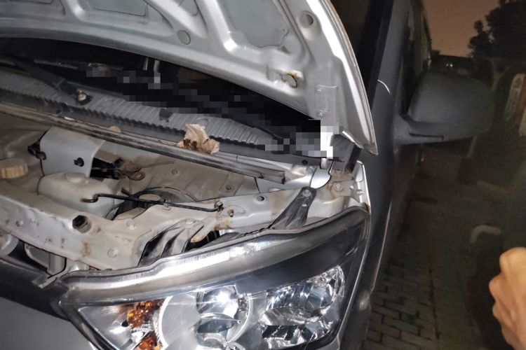 Used Wuling EV50 2020 All-Electric Van Logistics Vehicle with Ningde-Heated Battery Engine Bay Left