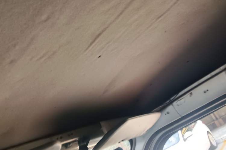 Used Wuling EV50 2020 Pure Electric Van Logistics Vehicle – Penghui Non-Heated Battery Headliner