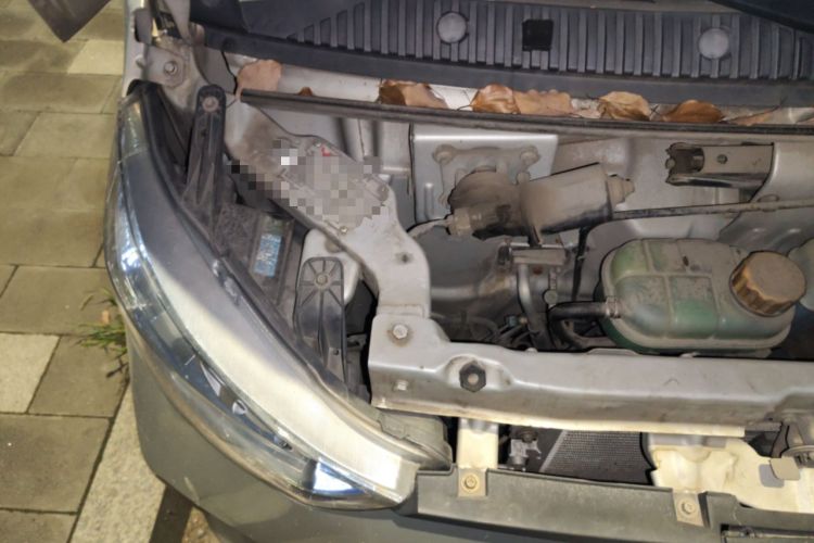 Used Wuling EV50 2020 All-Electric Van Logistics Vehicle with Ningde-Heated Battery Engine Bay Right