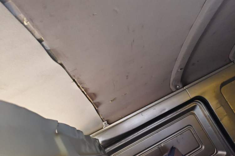 Used Wuling EV50  Headliner