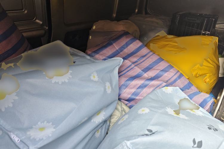 Used Wuling EV50  Left Rear Seat