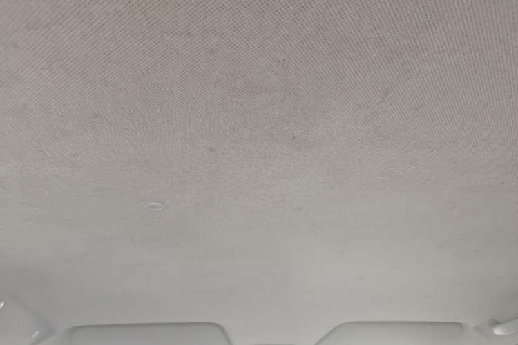 Used Wuling Hongguang 2010 1.2L Base Version China IV Standard Headliner