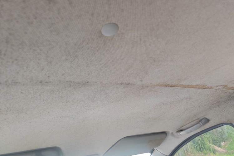 Used Wuling Hongguang 2010 1.2L Base Version China IV Standard Headliner