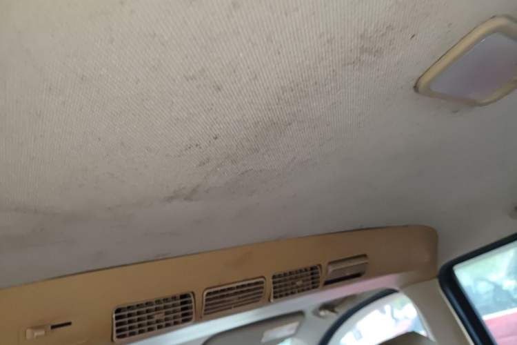 Used Wuling Hongguang 2010 1.4L Luxury Model Headliner
