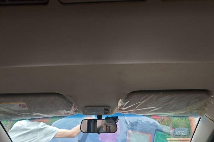 Used Wuling Hongguang 2010 1.2L Comfort Edition China IV Headliner