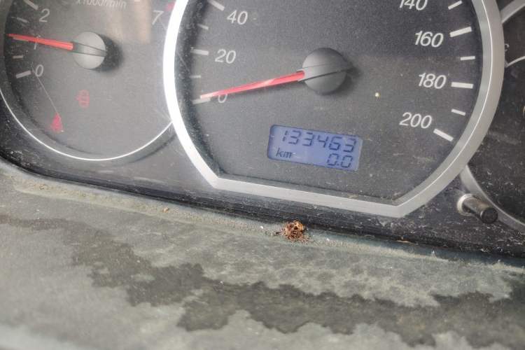 Used Wuling Hongguang 2010 1.2L Comfort Edition China IV Odometer Close Up
