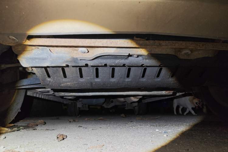 Used Wuling Hongguang 2010 1.2L Base Version China IV Standard Chassis Front