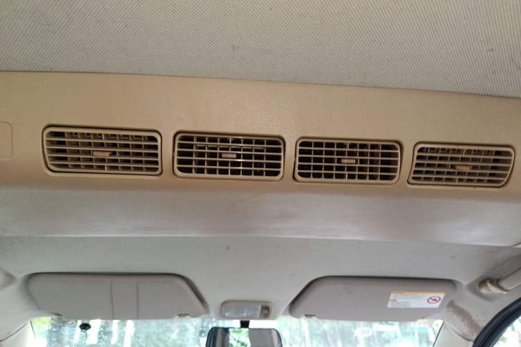 Used Wuling Hongguang 2010 1.2L Comfort Edition China IV Headliner