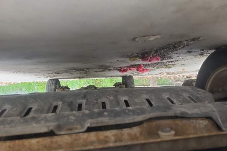 Used Wuling Hongguang 2010 1.4L Practical Version Chassis Front