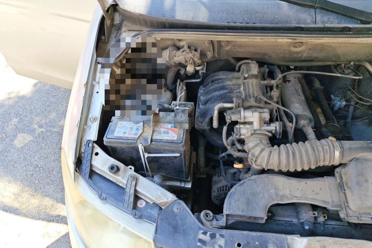 Used Wuling Hongguang 2010 1.2L Base Version China IV Standard Engine Bay Right