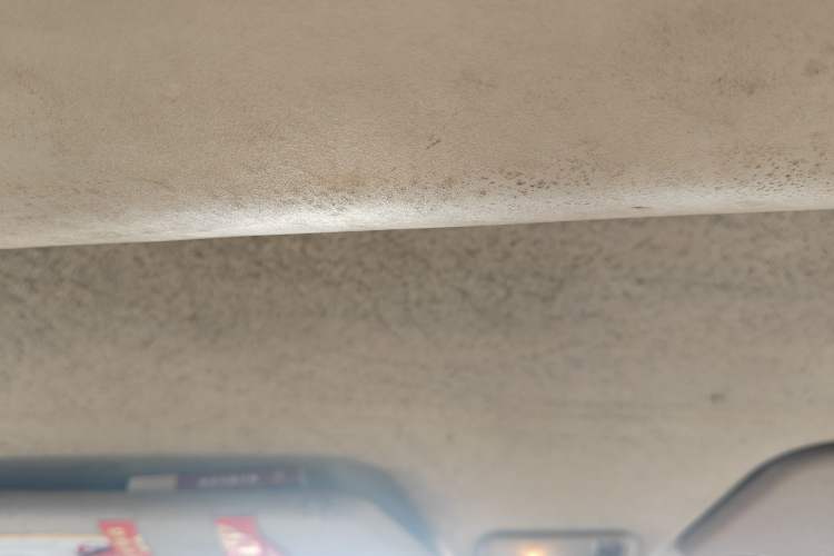 Used Wuling Hongguang 2010 1.4L Comfort Version Headliner
