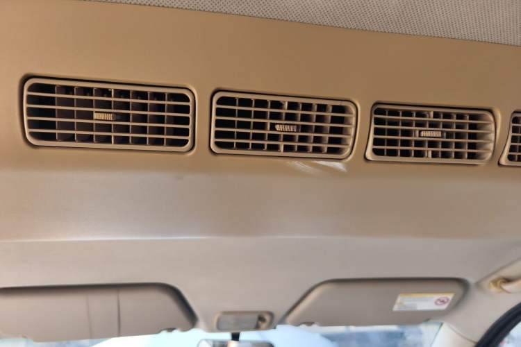 Used Wuling Hongguang 2010 1.2L Standard Version China IV Headliner