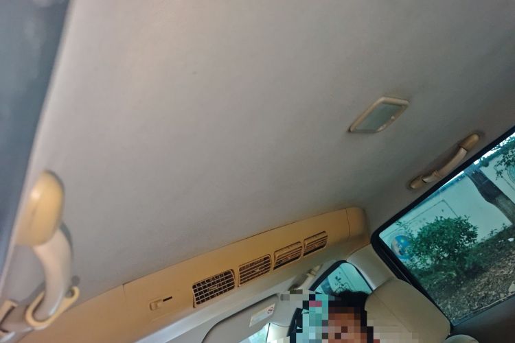 Used Wuling Hongguang 2010 1.2L Comfort Edition China IV Headliner
