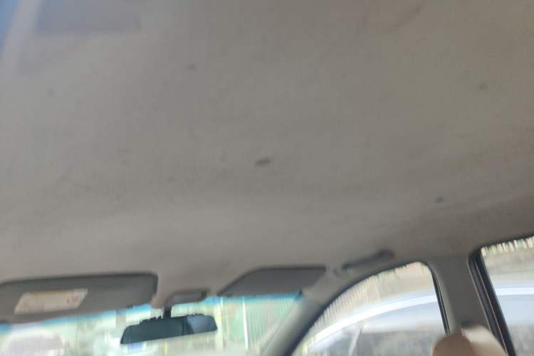 Used Wuling Hongguang 2010 1.4L Base Version Headliner