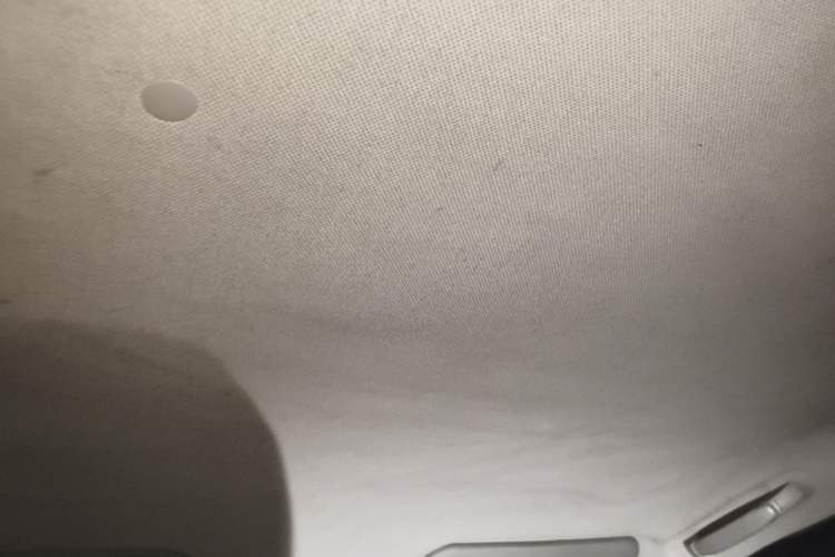 Used Wuling Hongguang 2013 1.5L Base Version Headliner