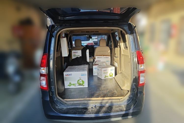 Used Wuling Hongguang 2013 1.5L Comfort Model Trunk