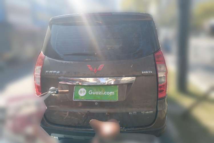 Used Wuling Hongguang 2013 1.5L S Luxury Model Rear