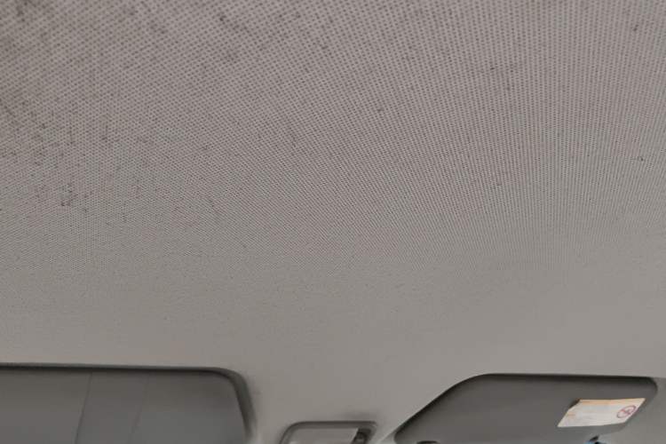 Used Wuling Hongguang 2013 1.5L Base Version Headliner