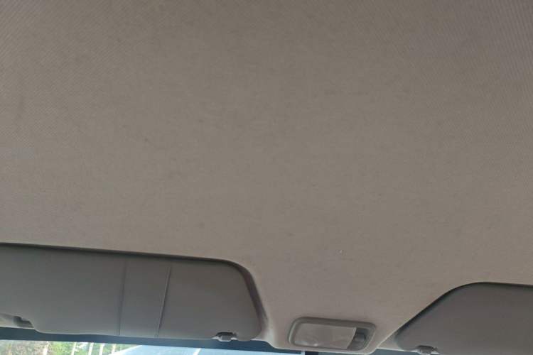 Used Wuling Hongguang 2013 1.5L Base Version Headliner