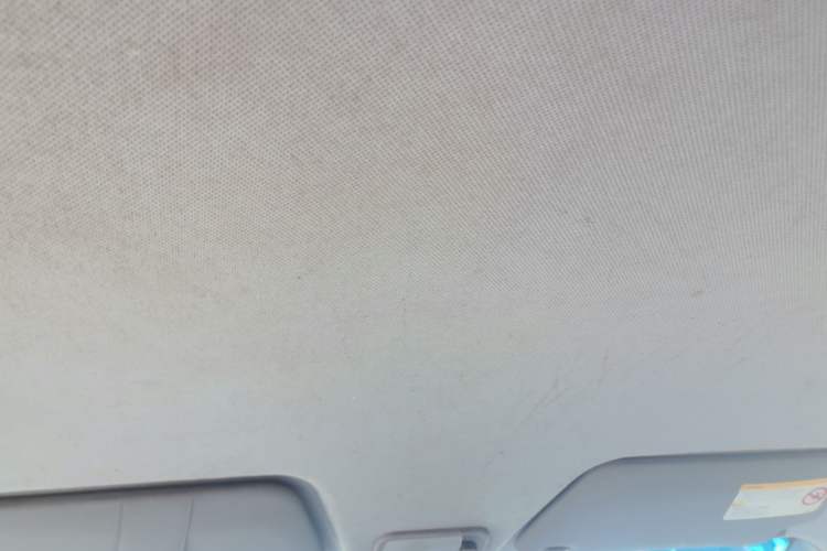 Used Wuling Hongguang 2013 1.5L Base Version Headliner