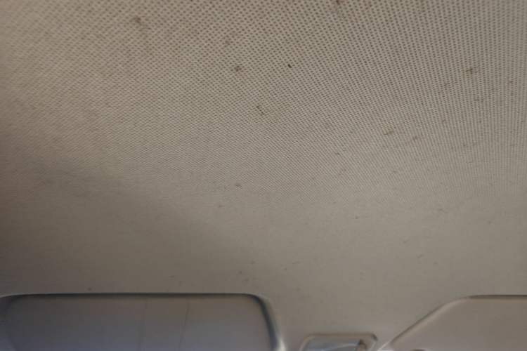 Used Wuling Hongguang 2013 1.5L Base Version Headliner