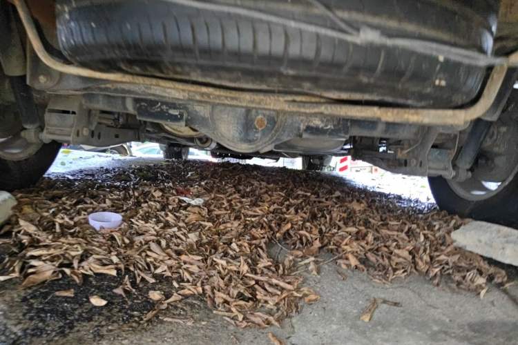 Used Wuling Hongguang 2014 1.2L Standard Model China IV Chassis Rear