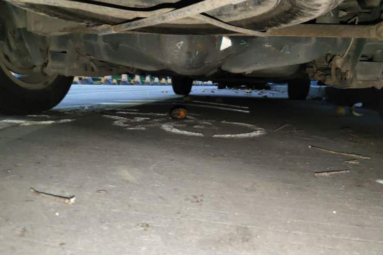 Used Wuling Hongguang 2014 1.5L S Luxury Model Chassis Rear