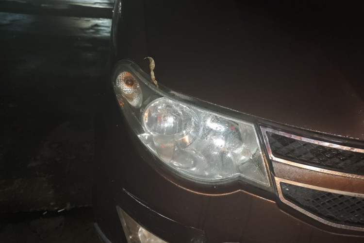 Used Wuling Hongguang 2014 1.5L S Luxury Model Right Front Headlight