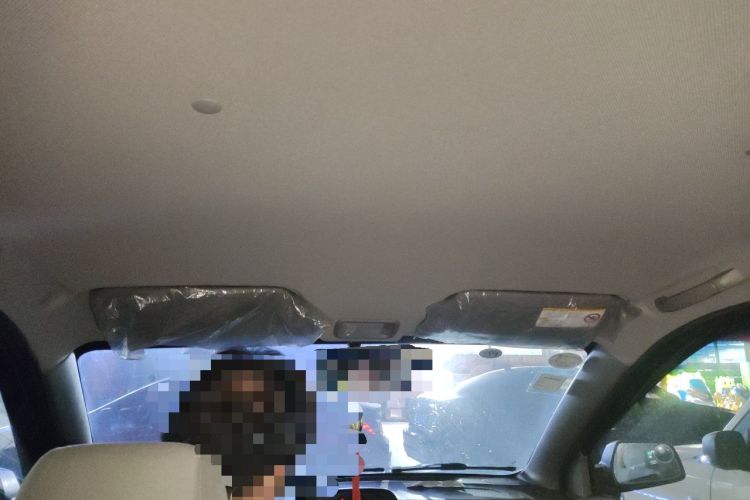 Used Wuling Hongguang 2014 1.5L Base Version Headliner