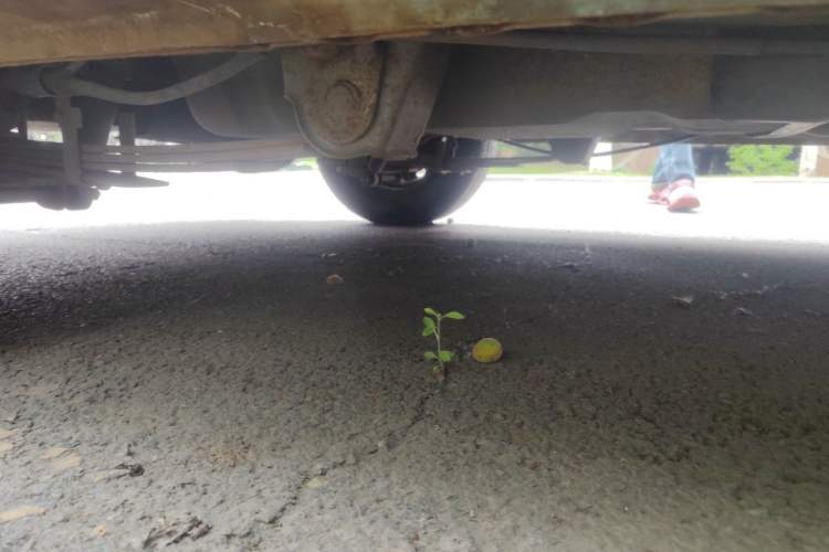 Used Wuling Hongguang 2014 1.2L Base Model China IV Chassis Rear Right