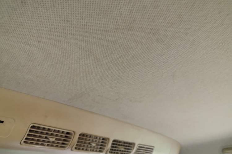 Used Wuling Hongguang 2014 1.5L Standard Version Headliner