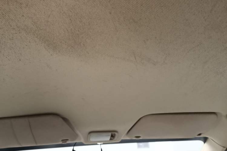Used Wuling Hongguang 2014 1.5L Base Version Headliner