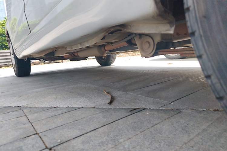 Used Wuling Hongguang 2014 1.5L Base Version Chassis Rear Left