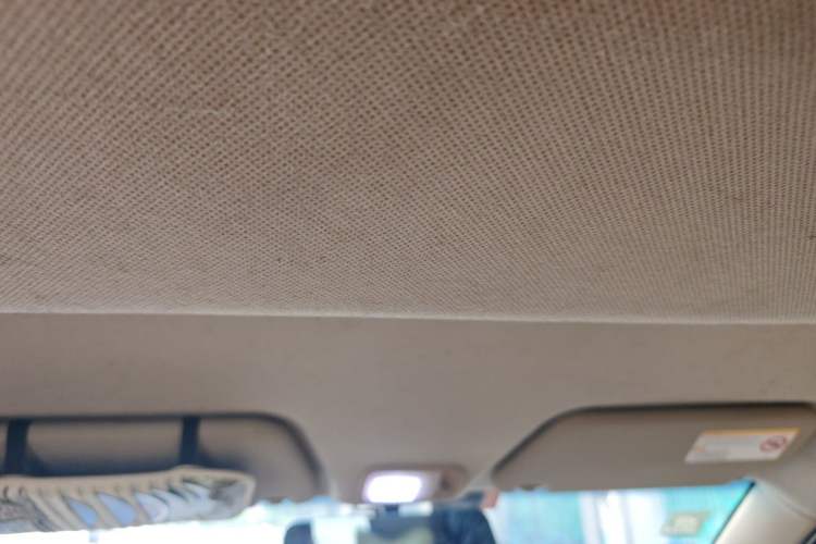 Used Wuling Hongguang 2014 1.5L S Comfort Model Headliner