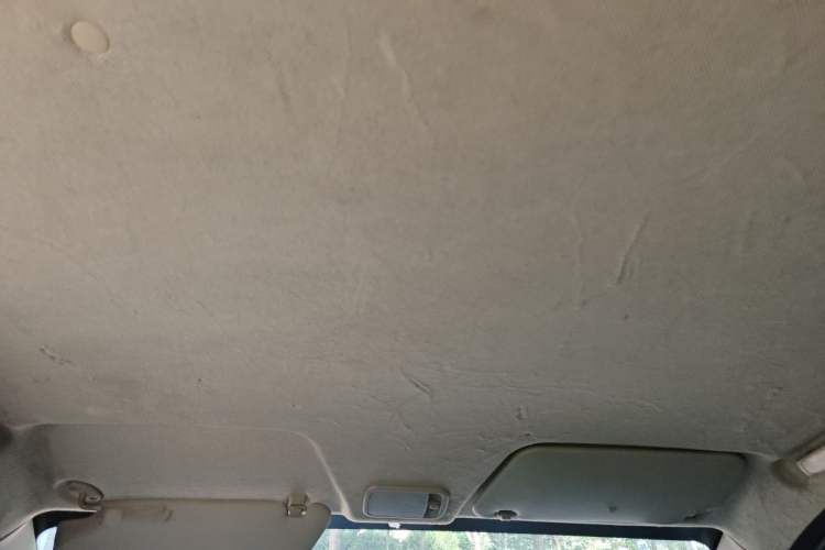 Used Wuling Hongguang 2015 1.5L S Base Model China IV Headliner