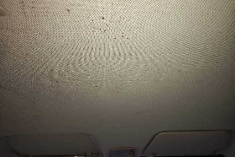 Used Wuling Hongguang 2015 1.5L S Base Model China IV Headliner