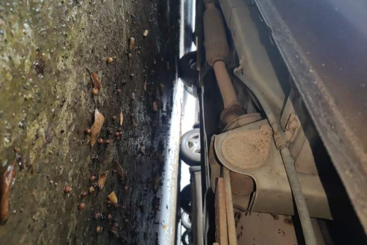 Used Wuling Hongguang 2015 1.5L S Basic Version China V Standard Chassis Rear Left