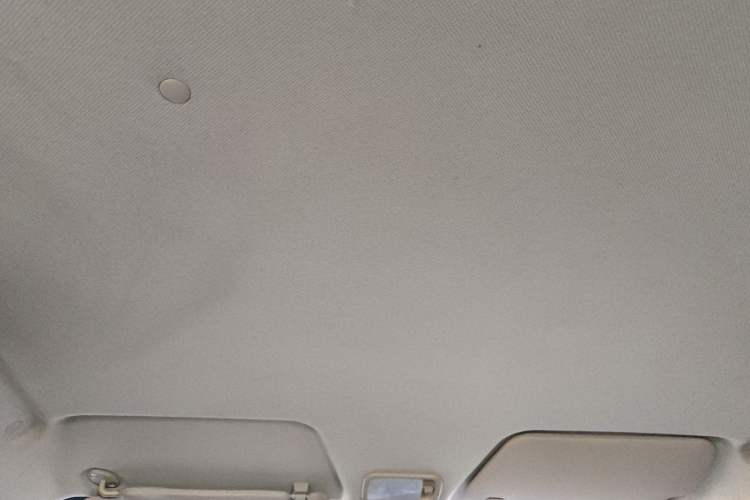 Used Wuling Hongguang 2015 1.5L S Base Model China IV Headliner