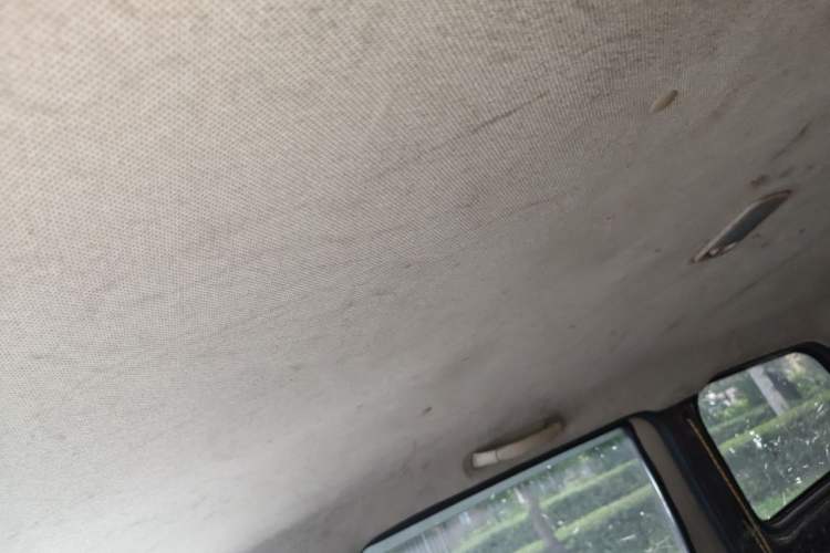 Used Wuling Hongguang 2015 1.5L S Base Model China IV Headliner