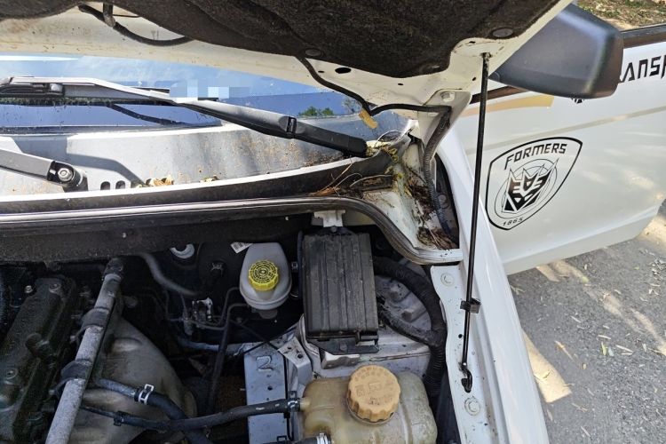 Used Wuling Hongguang 2015 1.2L S Base Model China V Standard Engine Bay Left