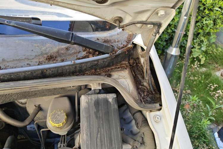 Used Wuling Hongguang 2015 1.5L S Basic Version China V Standard Engine Bay Left