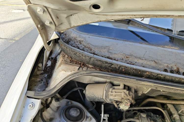 Used Wuling Hongguang 2015 1.5L S Basic Version China V Standard Engine Bay Right