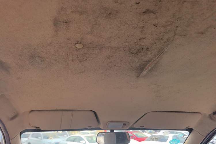 Used Wuling Hongguang 2015 1.2L S Base Model China IV Headliner